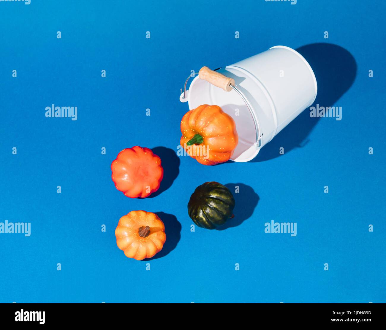 Secchio bianco con zucche autunnali colorate versate su sfondo blu. Concetto di idea creativa di Halloween o Thanksgiving. Concetto stagionale minimo. Foto Stock Secchio bianco con zucche autunnali colorate versate su sfondo blu. Concetto di idea creativa di Halloween o Thanksgiving. Concetto stagionale minimo. Foto Stock