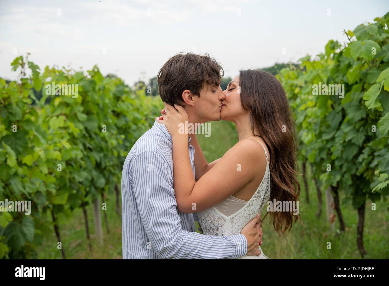 Coppia amorevole bacio mentre sono in mezzo ai campi d'uva, giovani appassionati amanti Foto Stock