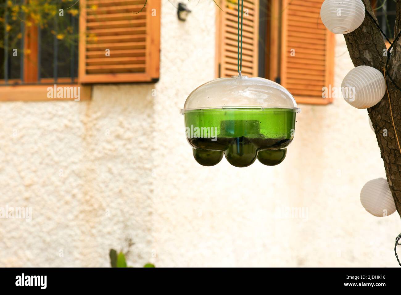 Sifone ecologico da giardino per vespe, cornetti e mosche Foto Stock