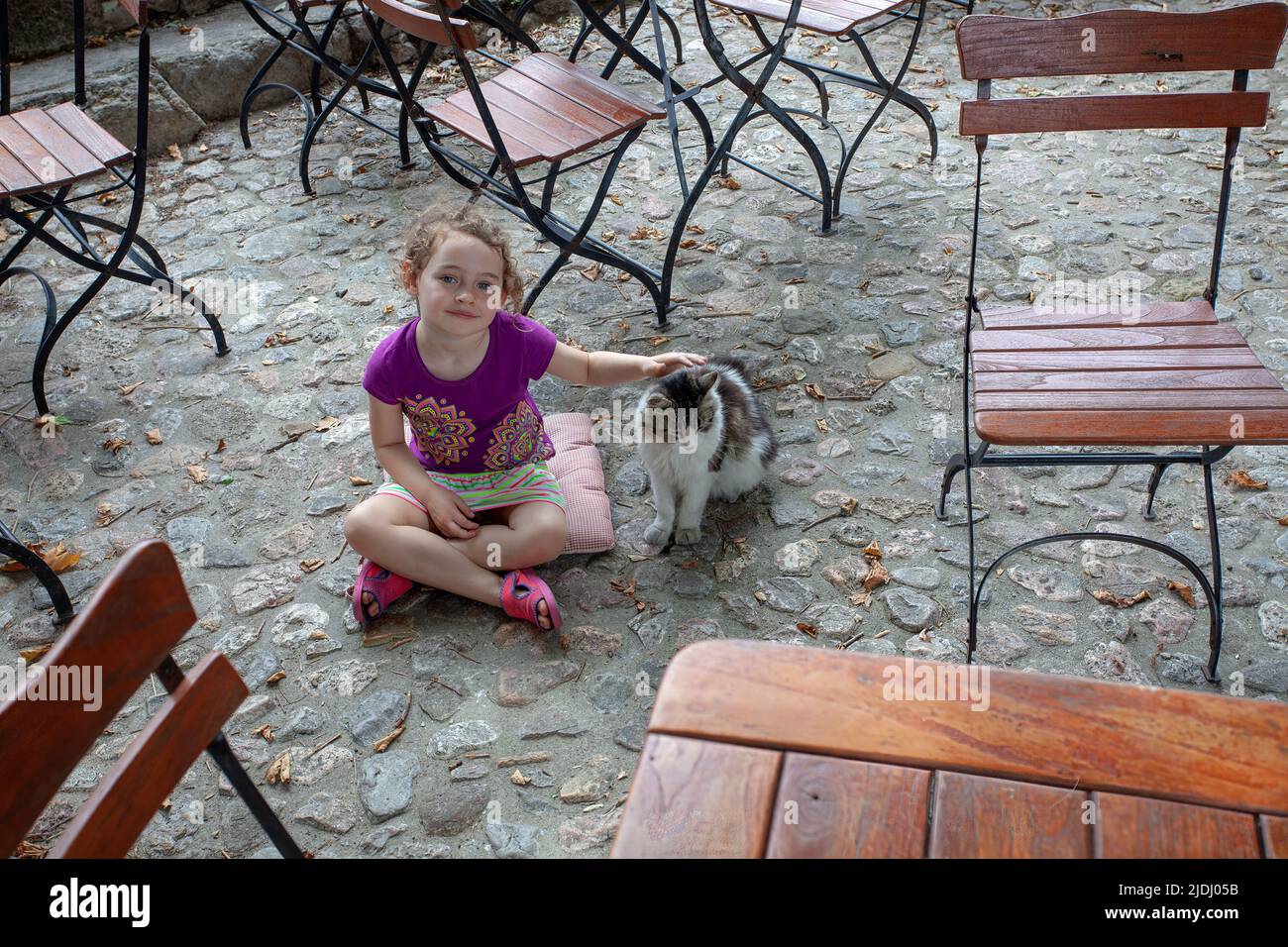 Giovane ragazza e gatto randagio, Seillans, Francia Foto Stock