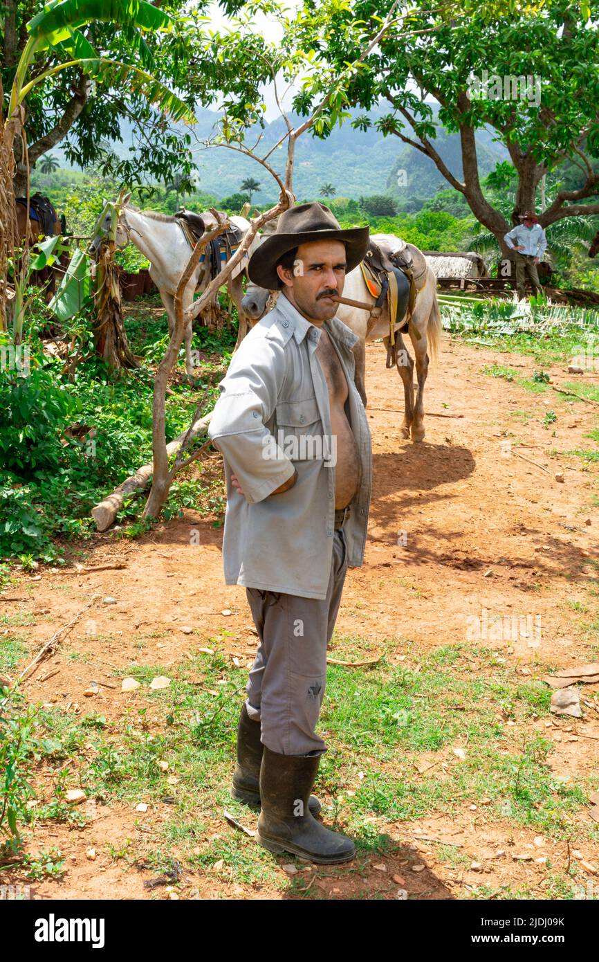 Un contadino cubano di tabacco che fuma sigari con il suo cavallo nella valle di Viñales a Cuba Foto Stock
