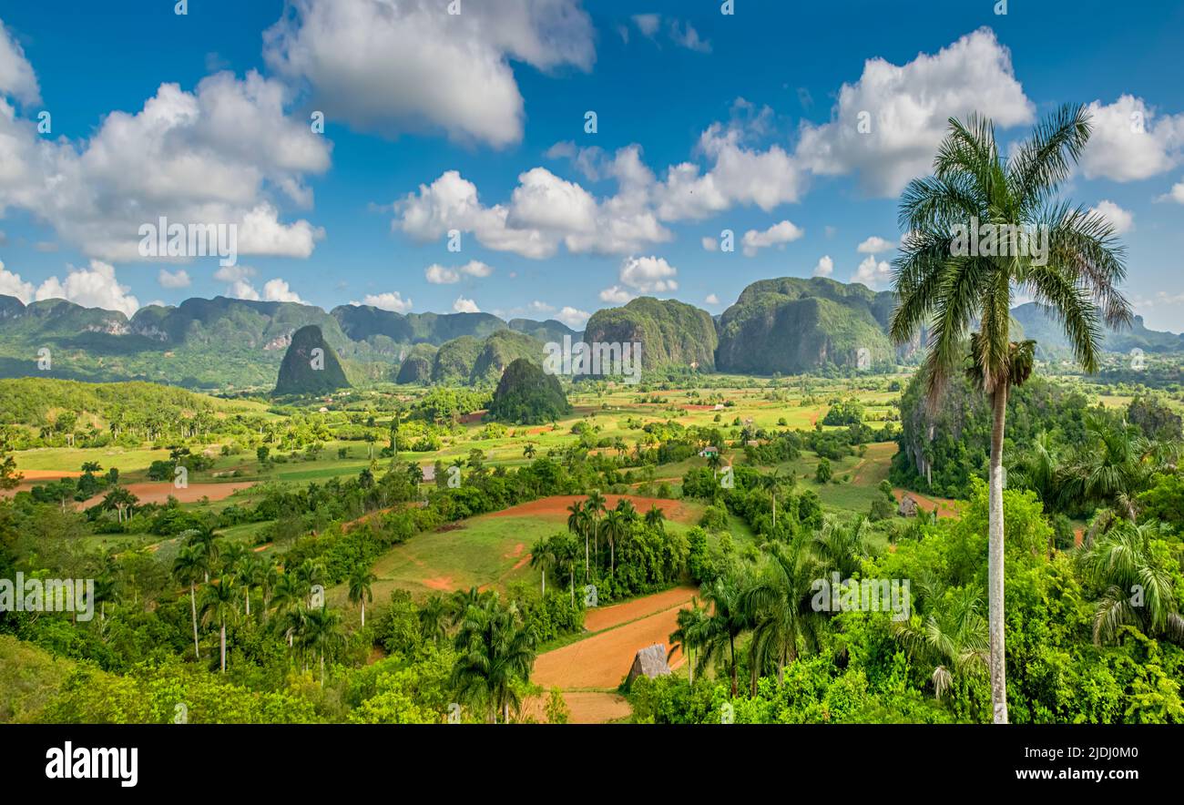 Splendido paesaggio di montagna lussureggiante a Viñales, Cuba Foto Stock