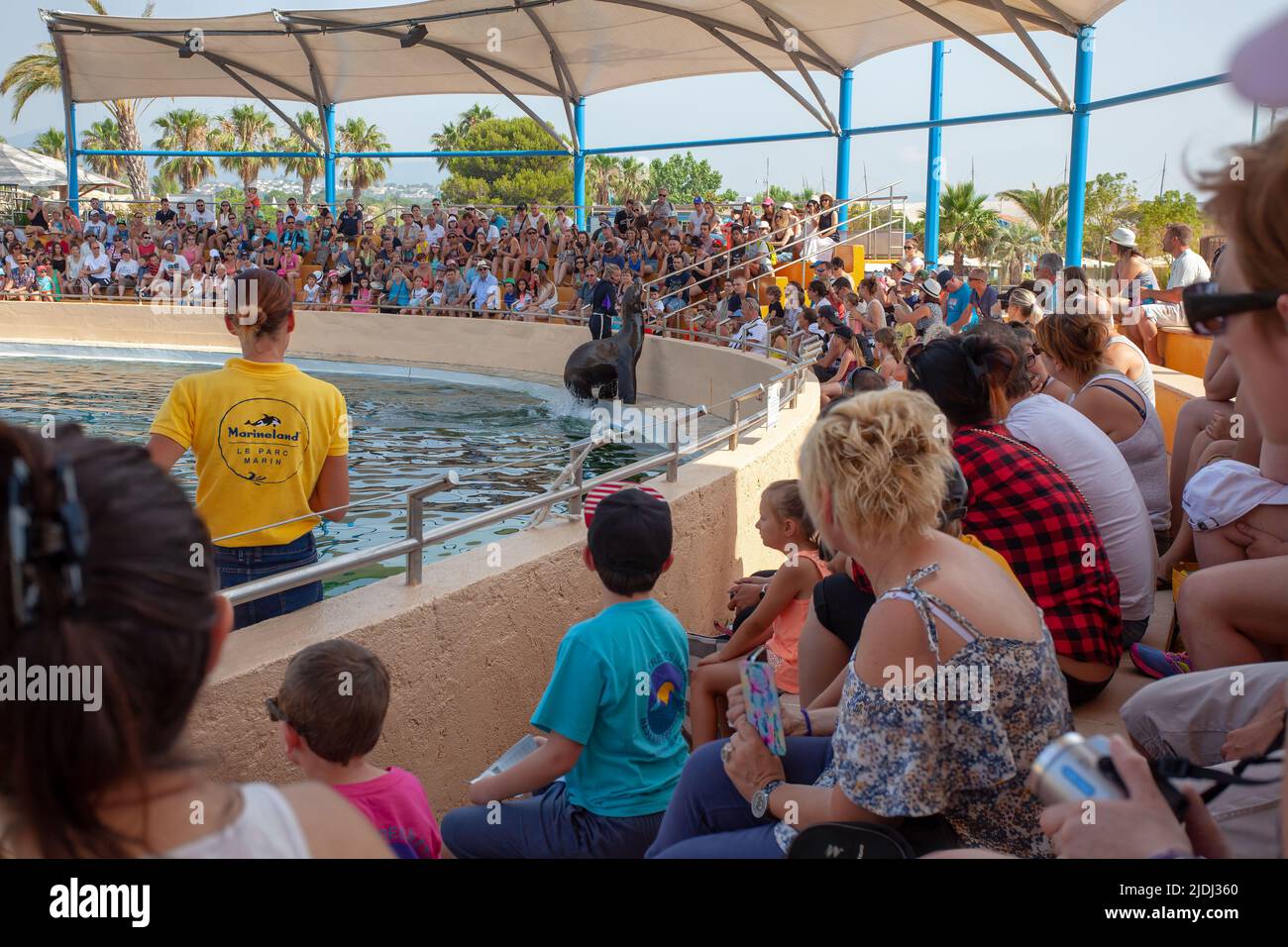 SEAL che eseguono trucchi, Marineland, Francia Foto Stock