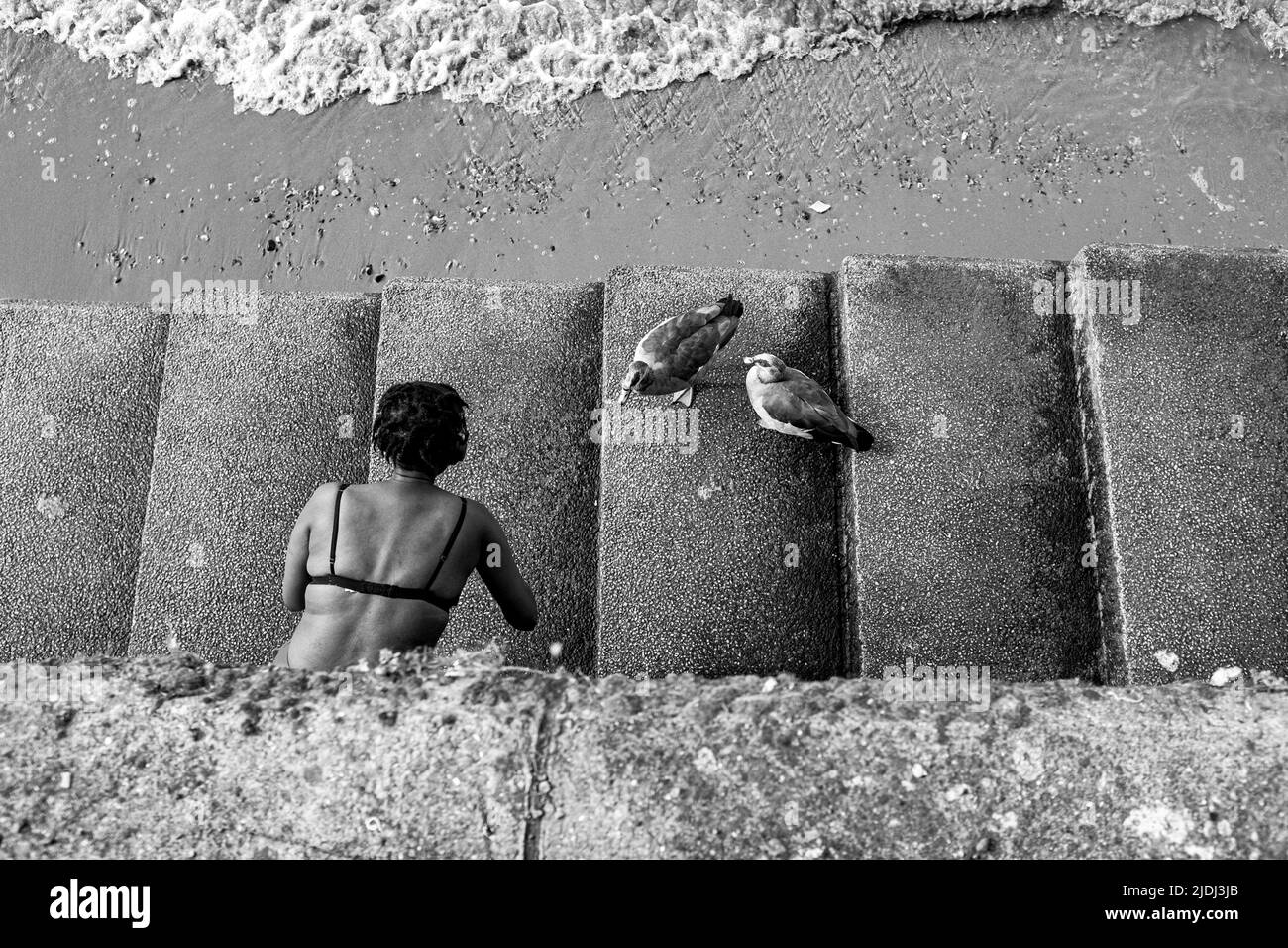 River Thames views South Bank ,Londra , Inghilterra UK - Una donna nutre le oche a passi giù per la spiaggia di litorale lungo g il Tamigi Foto Stock