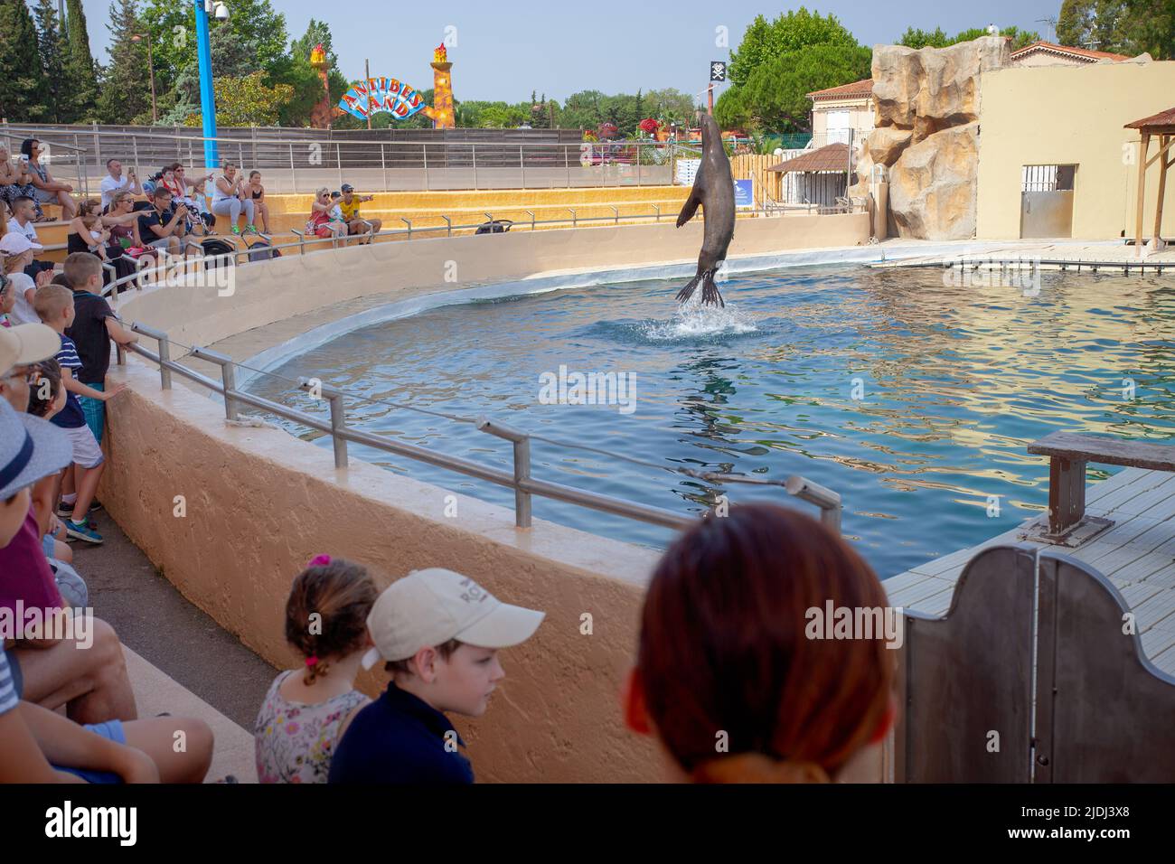 SEAL che eseguono trucchi, Marineland, Francia Foto Stock
