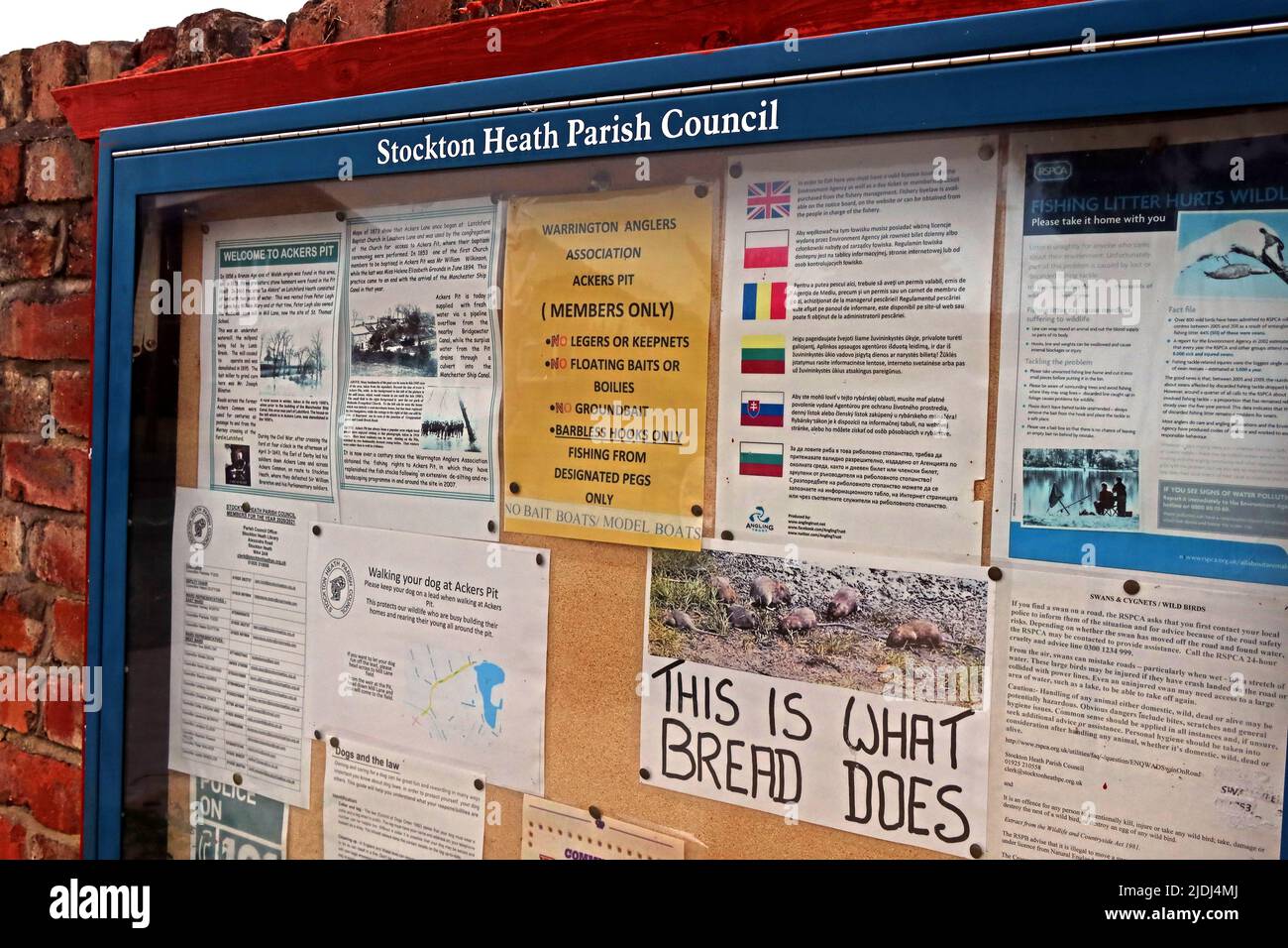 Ackers Pit, Stockton Heath Parish Council, Notice Board, Stockton Heath, Warrington, Cheshire, INGHILTERRA, REGNO UNITO, WA4 2DA Foto Stock