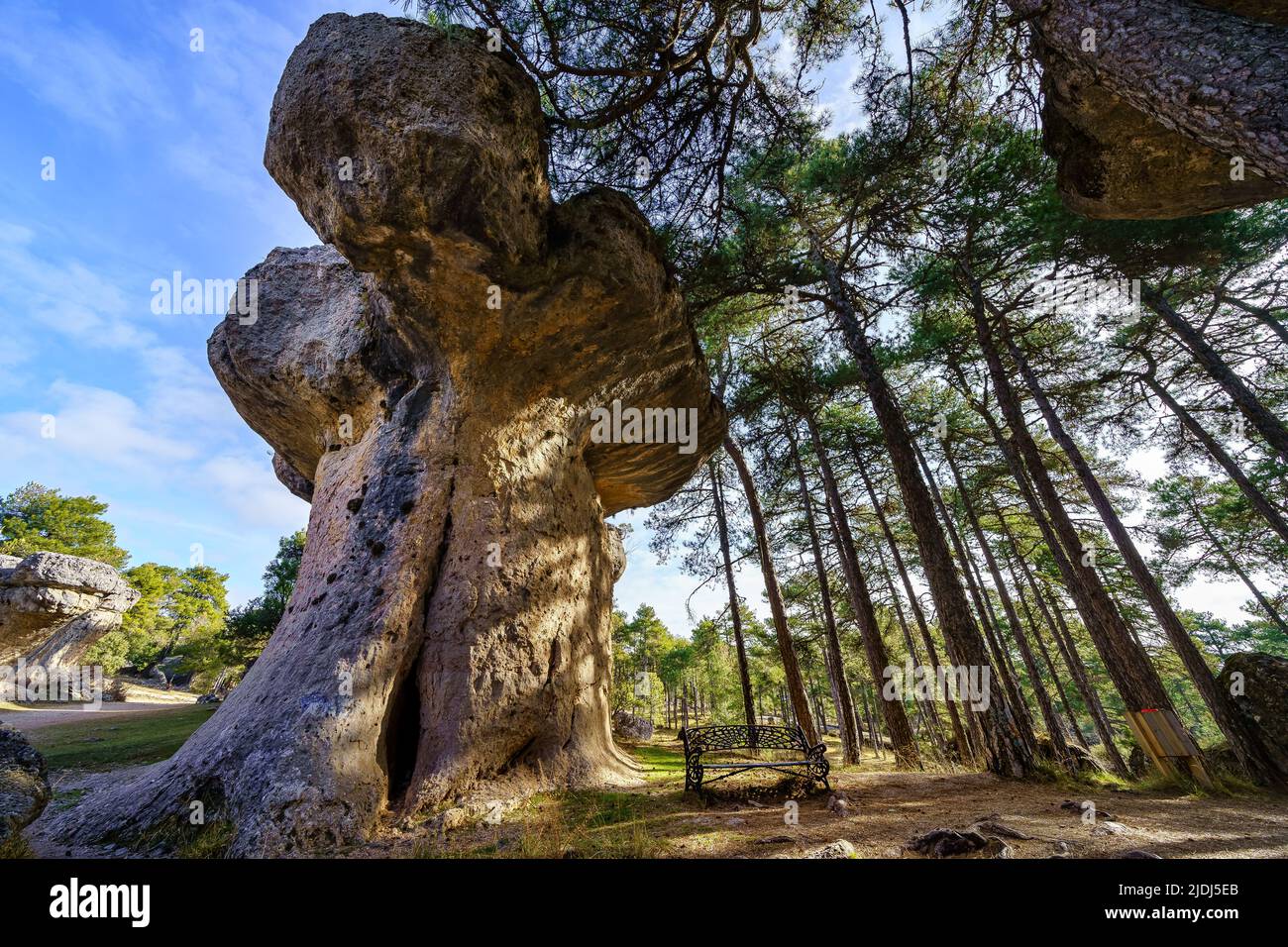 Strana formazione rocciosa a forma di fungo nella Città incantata di Cuenca, Spagna. Foto Stock