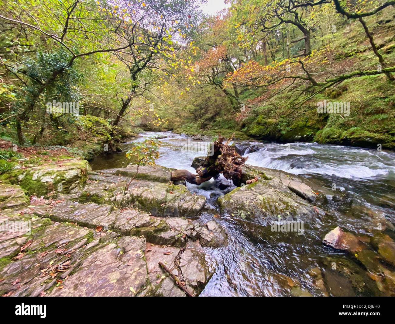 L'Oriente Lyn River a Lynmouth, North Devon Foto Stock