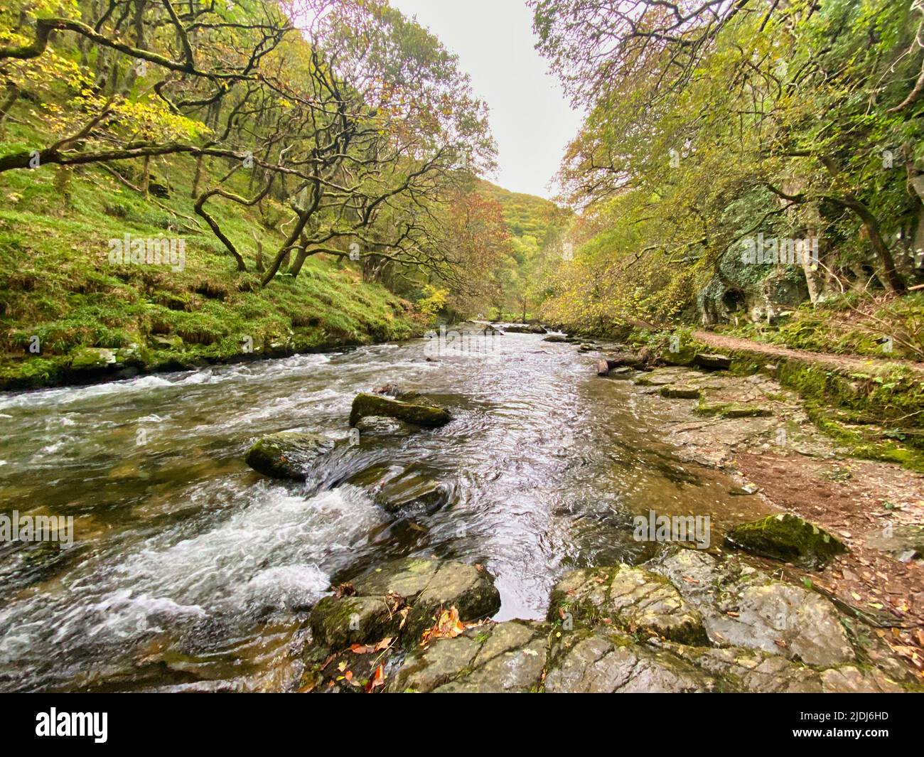 L'Oriente Lyn River a Lynmouth, North Devon Foto Stock