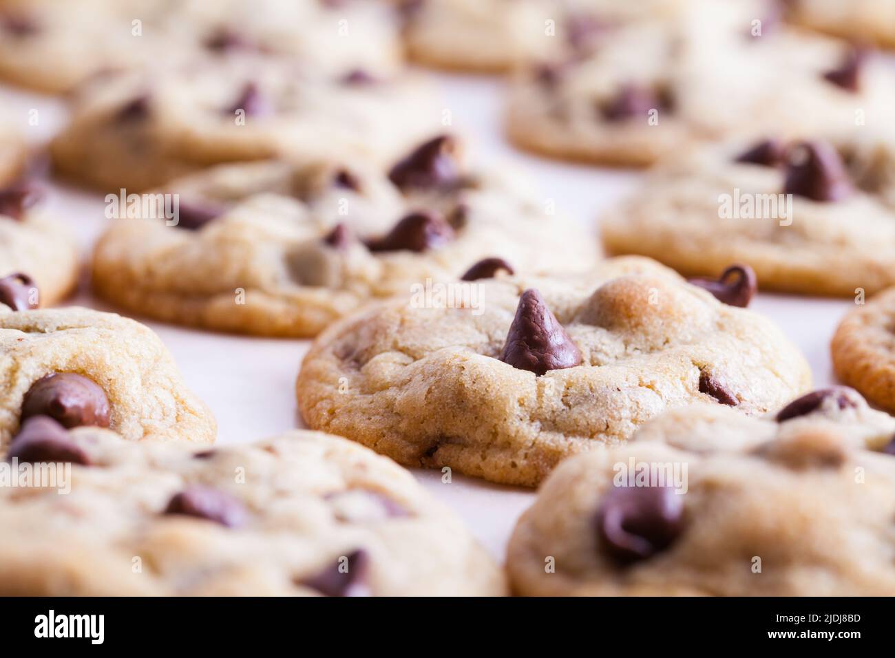 Diversi biscotti al cioccolato in primo piano. Foto Stock