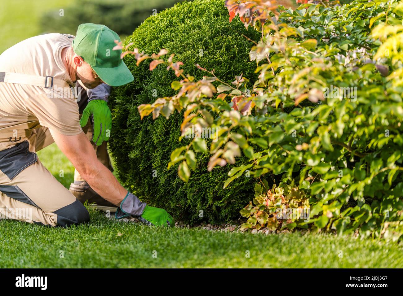 Giardiniere caucasico fare piante da giardino controllo di salute esaminando la condizione del suolo. Tema professionale per la cura e la manutenzione del giardino. Foto Stock