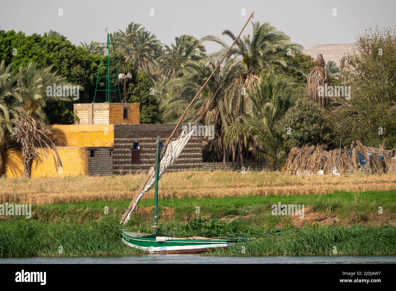 Una feluca tradizionale ormeggiata nelle canne sulle rive del fiume Nilo con vegetazione e scene domestiche dietro compresa piccola moschea Foto Stock