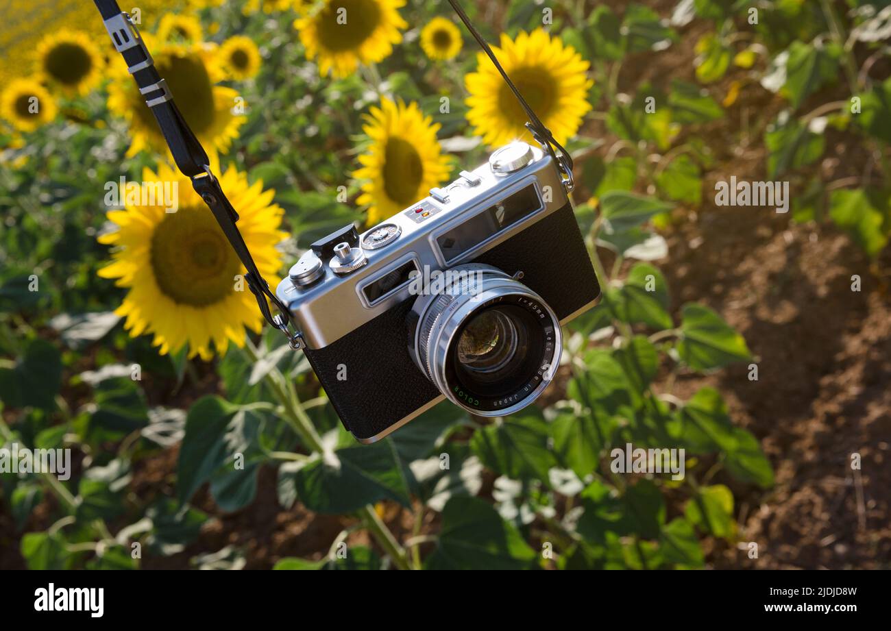 Primo piano di una fotocamera reflex in campagna. Fotografia, natura, viaggi. Foto Stock