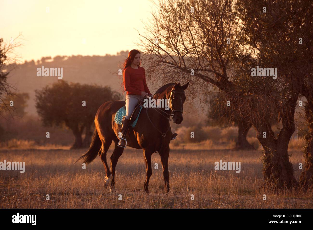 Giovane donna a cavallo in uno splendido scenario naturale al tramonto. Spazio per il testo. Foto Stock