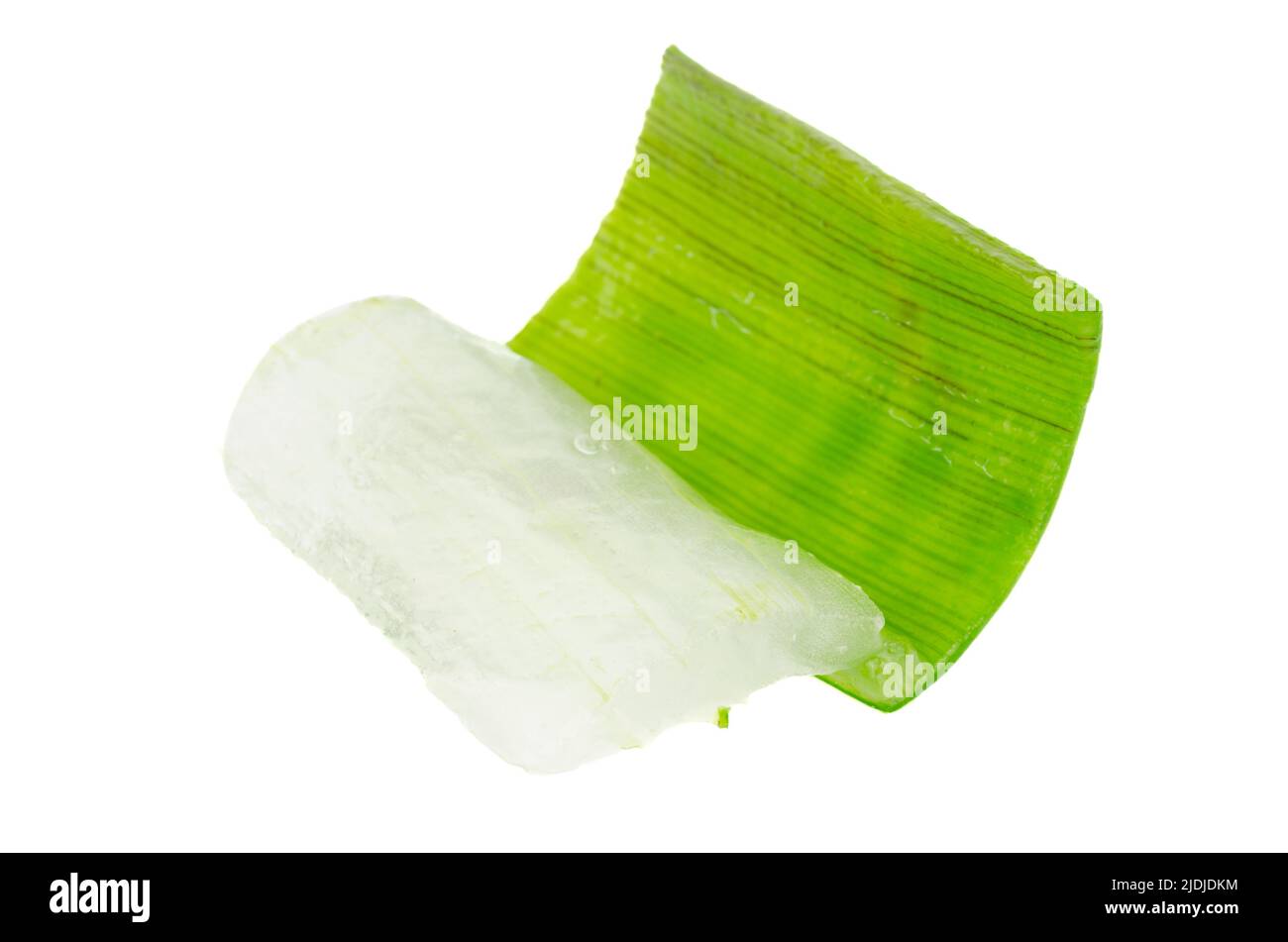 Pezzo di foglia di aloe vera sbucciata su sfondo bianco. Concetto di medicina naturale. Foto Stock