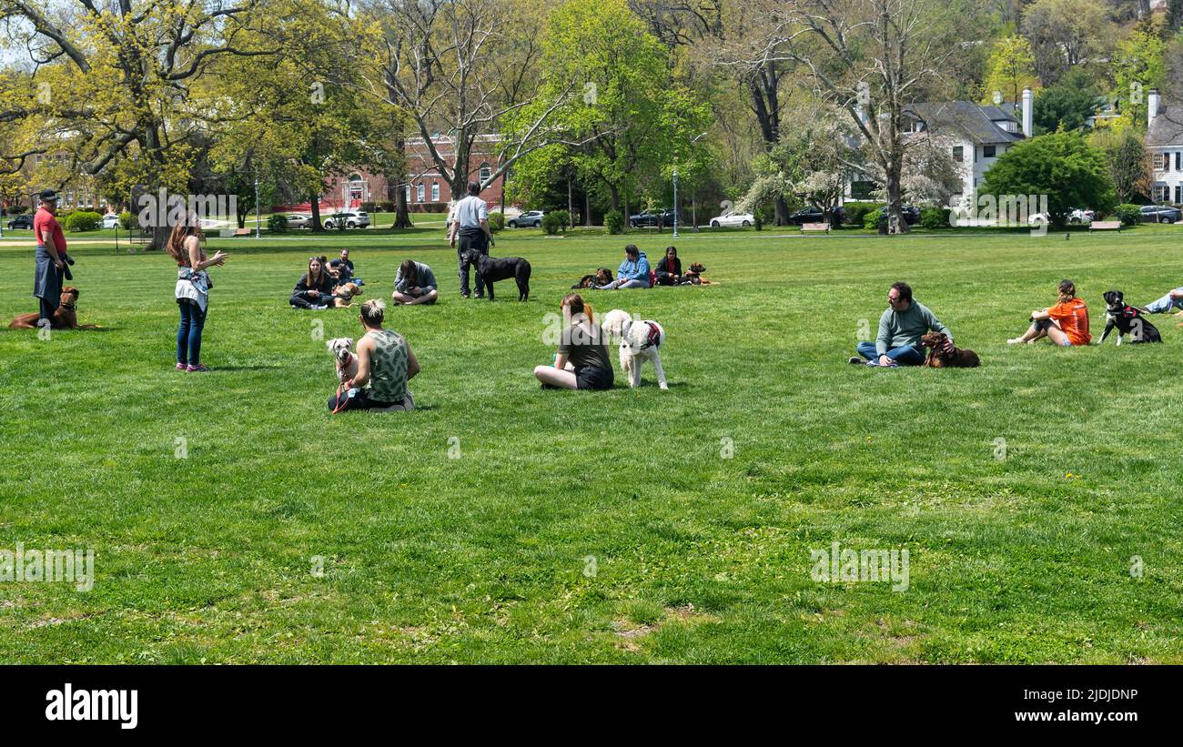 La gente con i cani ascolta la lezione di cane allevatore, Edgemont Park , Montclair, New Jersey, Stati Uniti d'America. Foto Stock