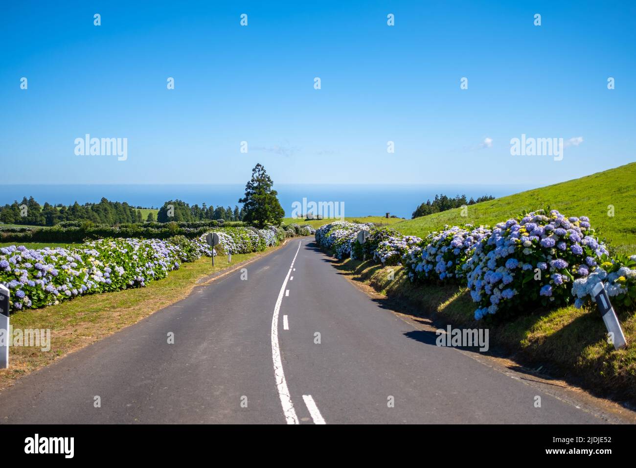 Strada vuota con il paesaggio verde e il cielo blu nell'isola di São Miguel nelle Azzorre. Foto Stock