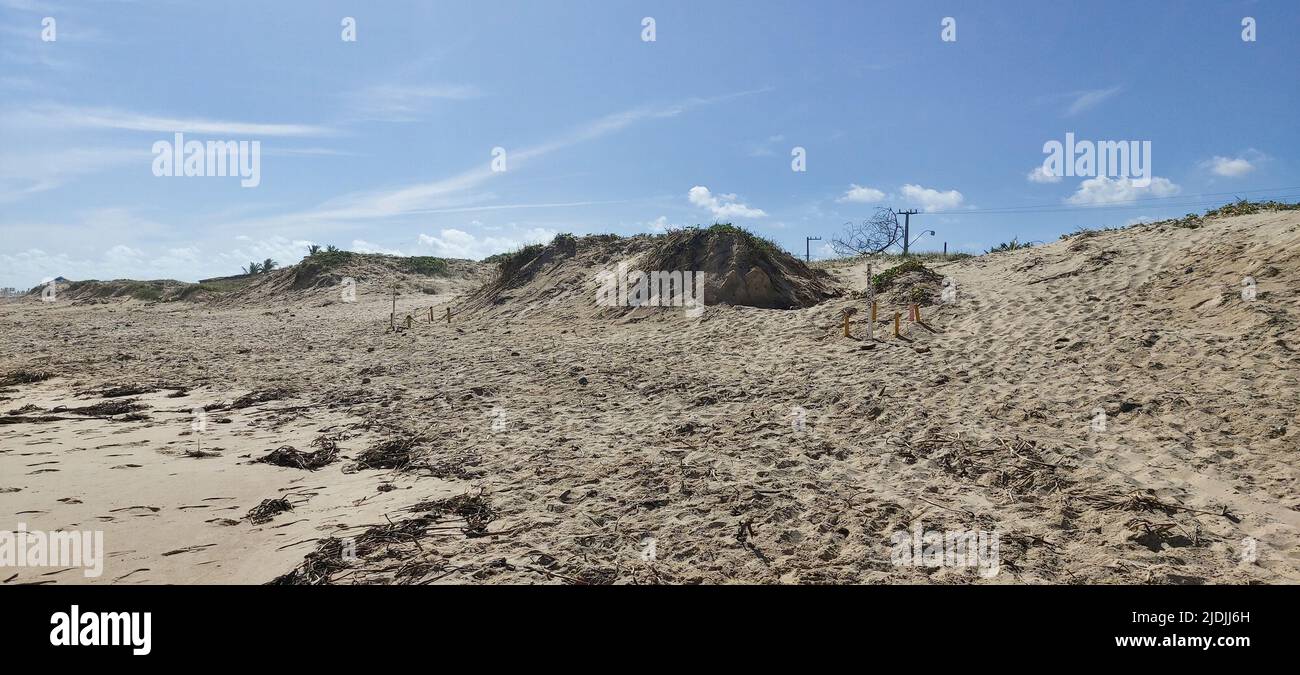 Spiaggia, Pirambu, Sergipe, Brasile Foto Stock