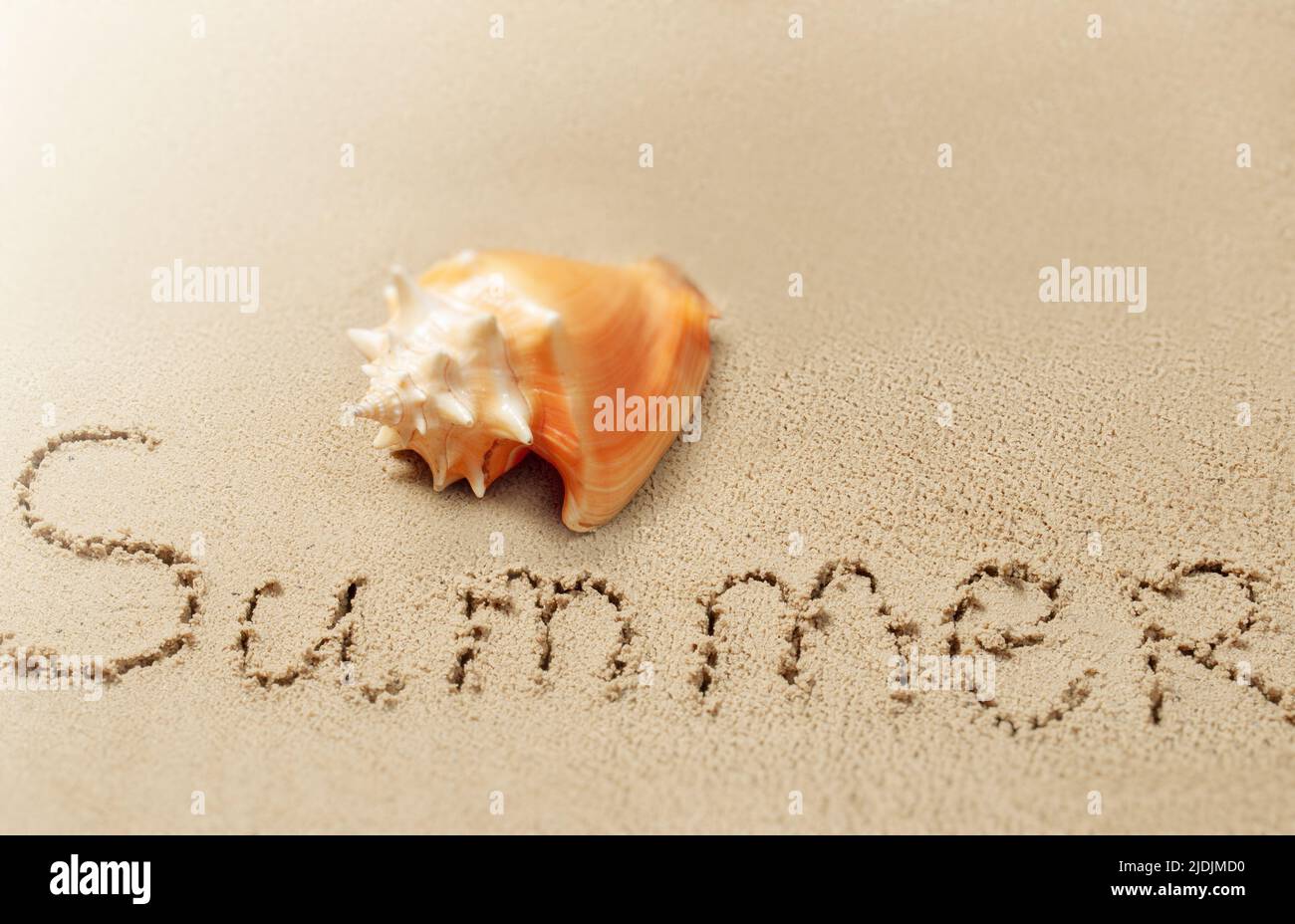 Guscio tropicale e iscrizione ESTATE sulla sabbia Foto Stock