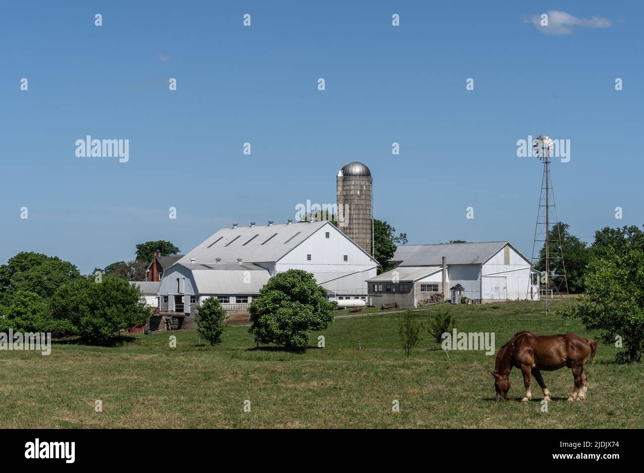 Pascolo di cavalli in prato in Amish Farm con fienile bianco e mulino a vento in Lancaster County, Pennsylvania Foto Stock