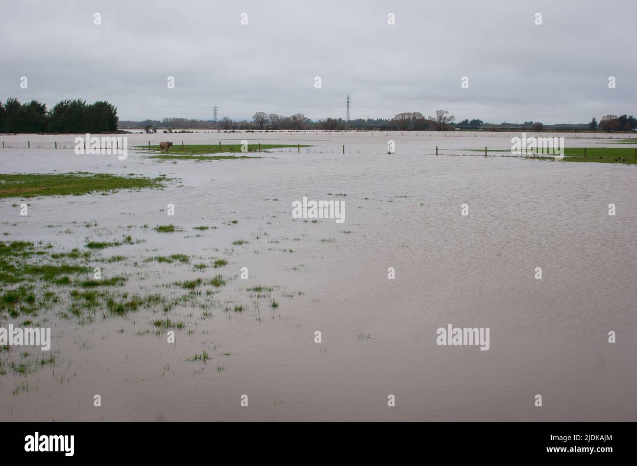 Uno sguardo alla vita in Nuova Zelanda: Inondazioni intorno alla città di Kaiapoi: Luglio 2008. Foto Stock