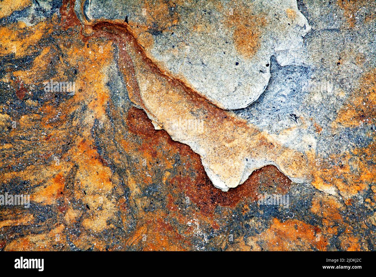 Dettaglio di roccia sulla spiaggia al punto Wellhaugh camminare sul mare Northumberland Inghilterra Foto Stock