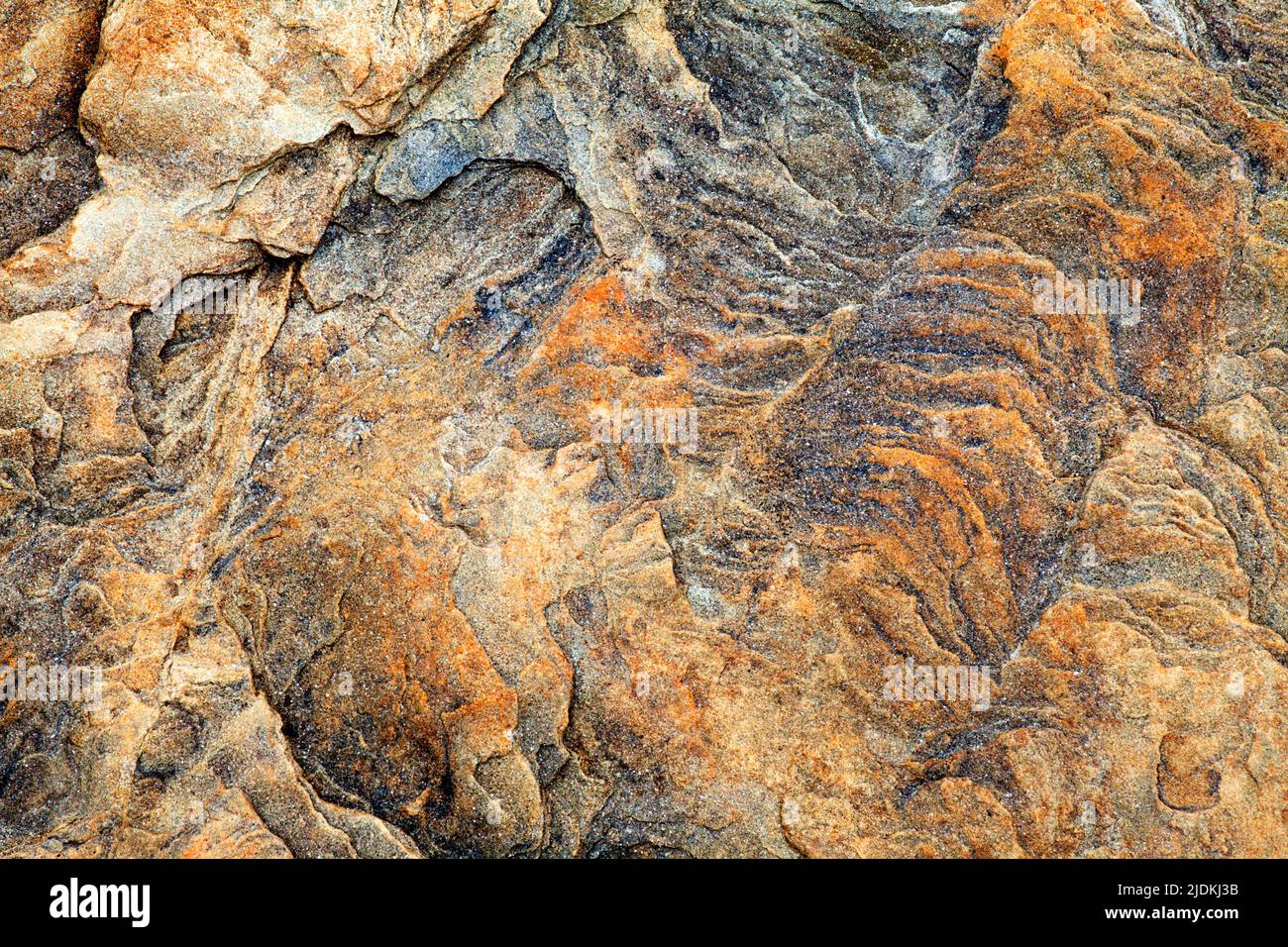 Dettaglio di roccia sulla spiaggia al punto Wellhaugh camminare sul mare Northumberland Inghilterra Foto Stock