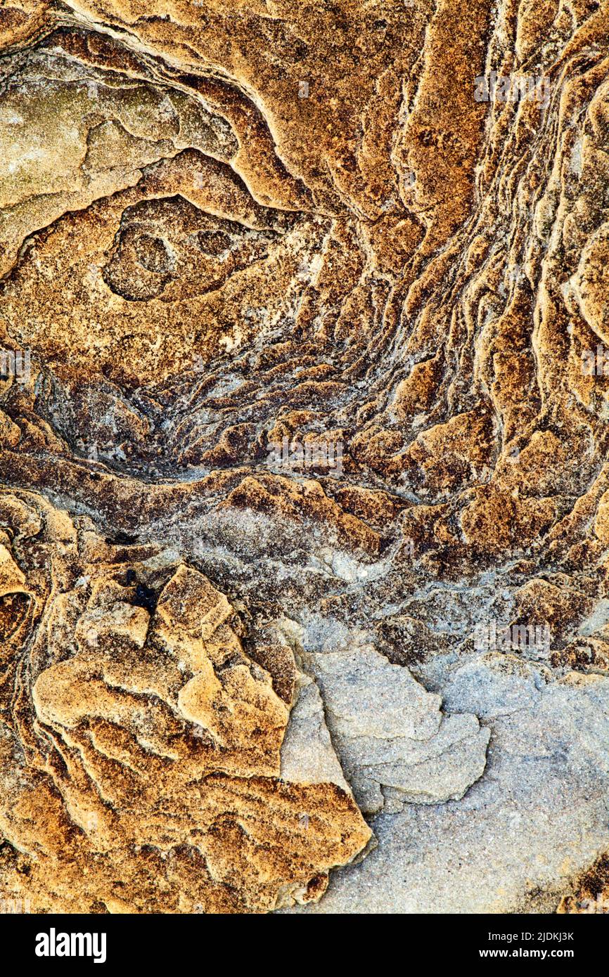 Dettaglio di roccia sulla spiaggia al punto Wellhaugh camminare sul mare Northumberland Inghilterra Foto Stock