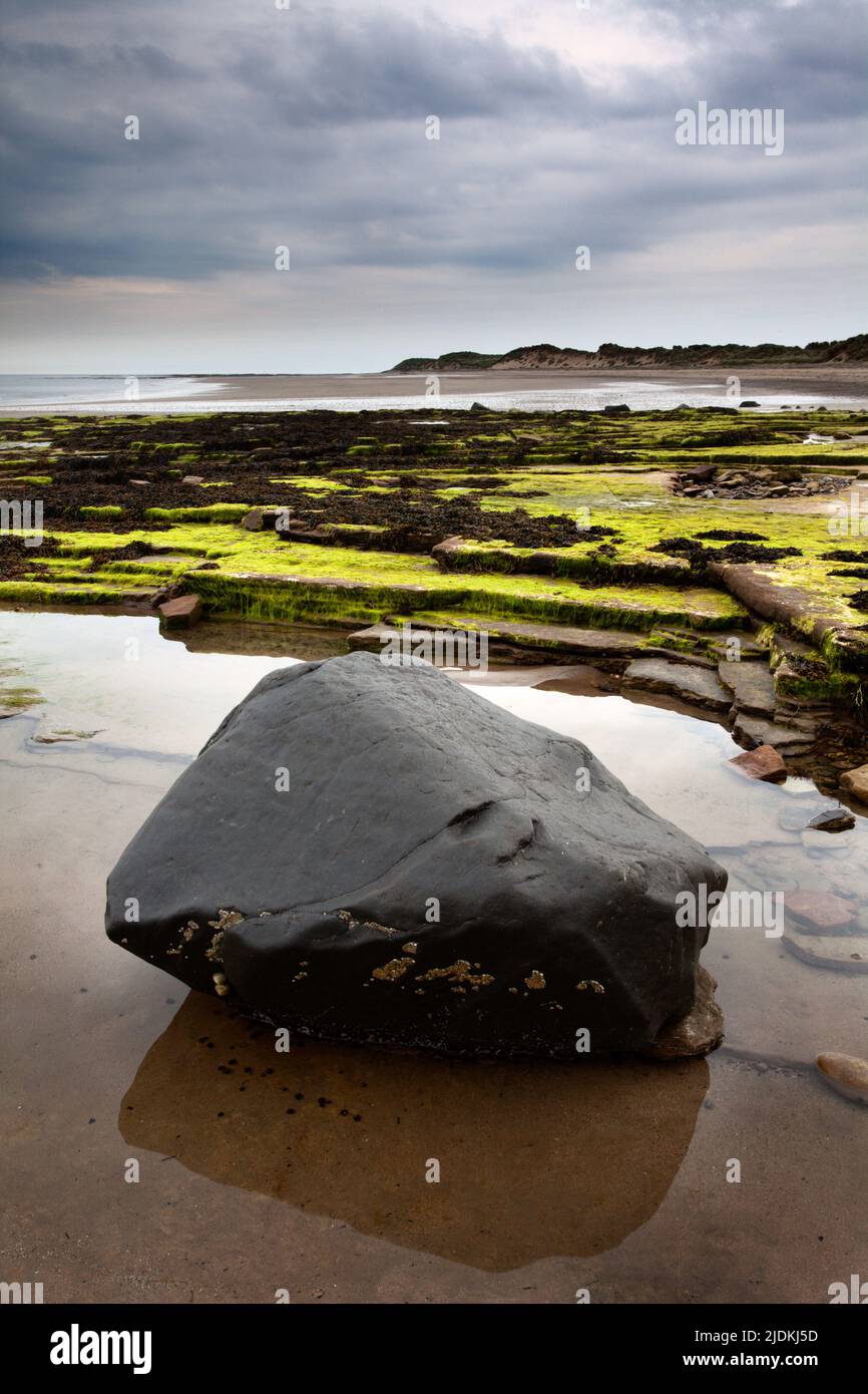 Boulder nero sulla spiaggia al punto Wellhaugh camminare sul mare Northumberland Inghilterra Foto Stock