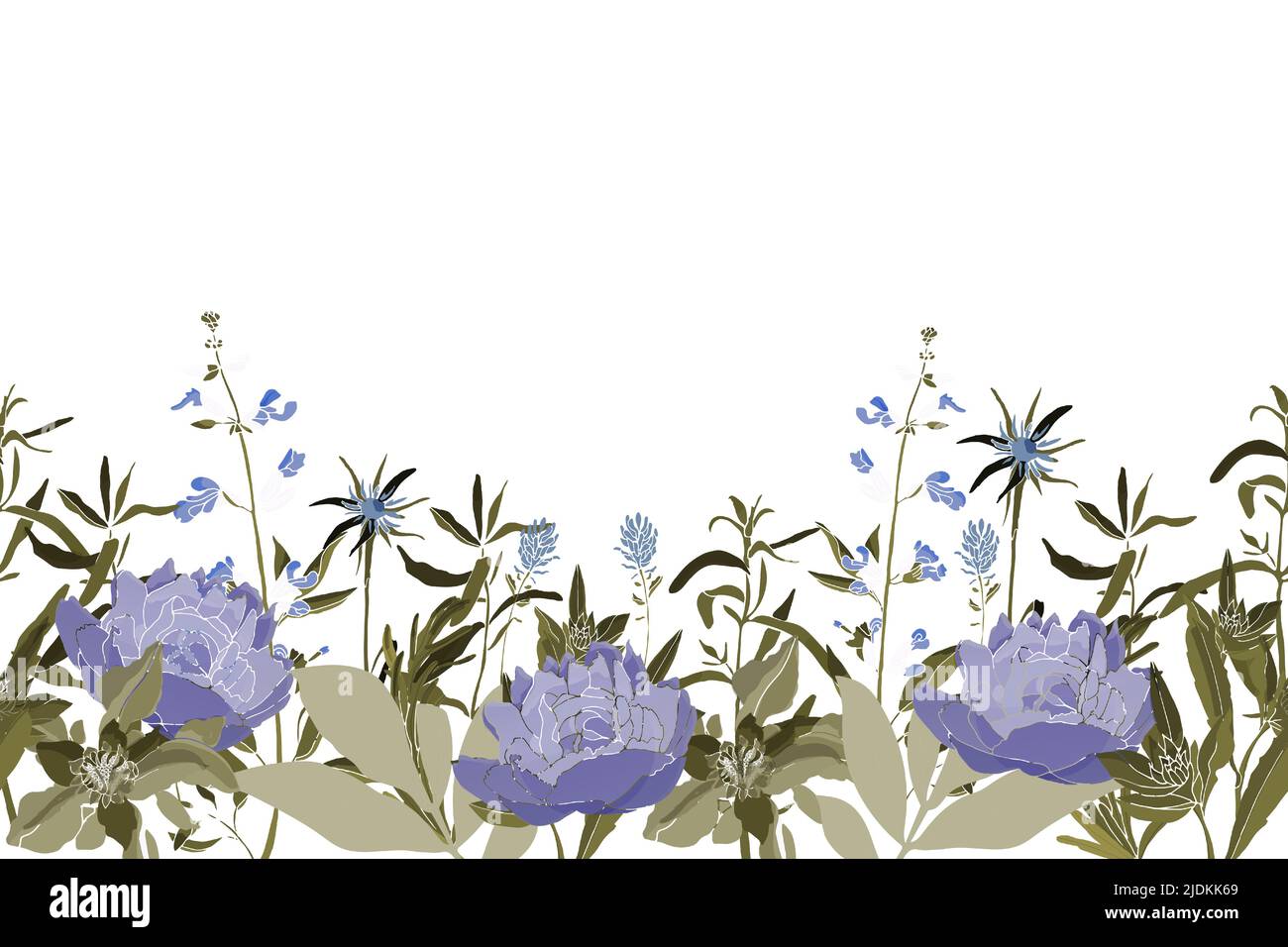 Motivo floreale vettoriale senza cuciture, bordo. Design panoramico orizzontale con peonie blu e foglie verdi su sfondo bianco. Illustrazione Vettoriale