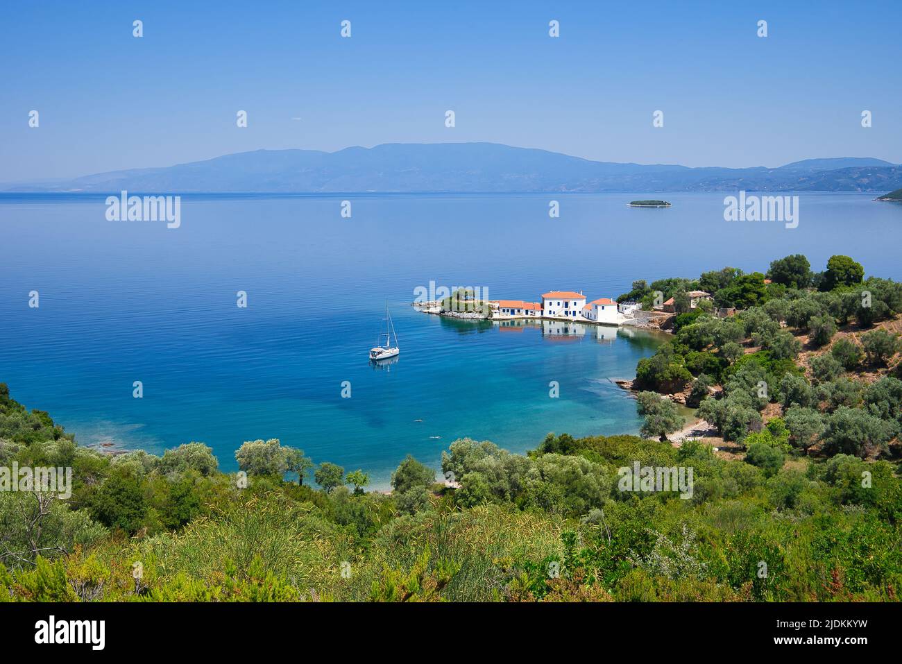 Bellissimo paesaggio con vista sul mare, vacanze in Grecia. Monte Pelion, uliveto con vista mare, meraviglioso paesaggio estivo greco, Monte Pelion, Foto Stock