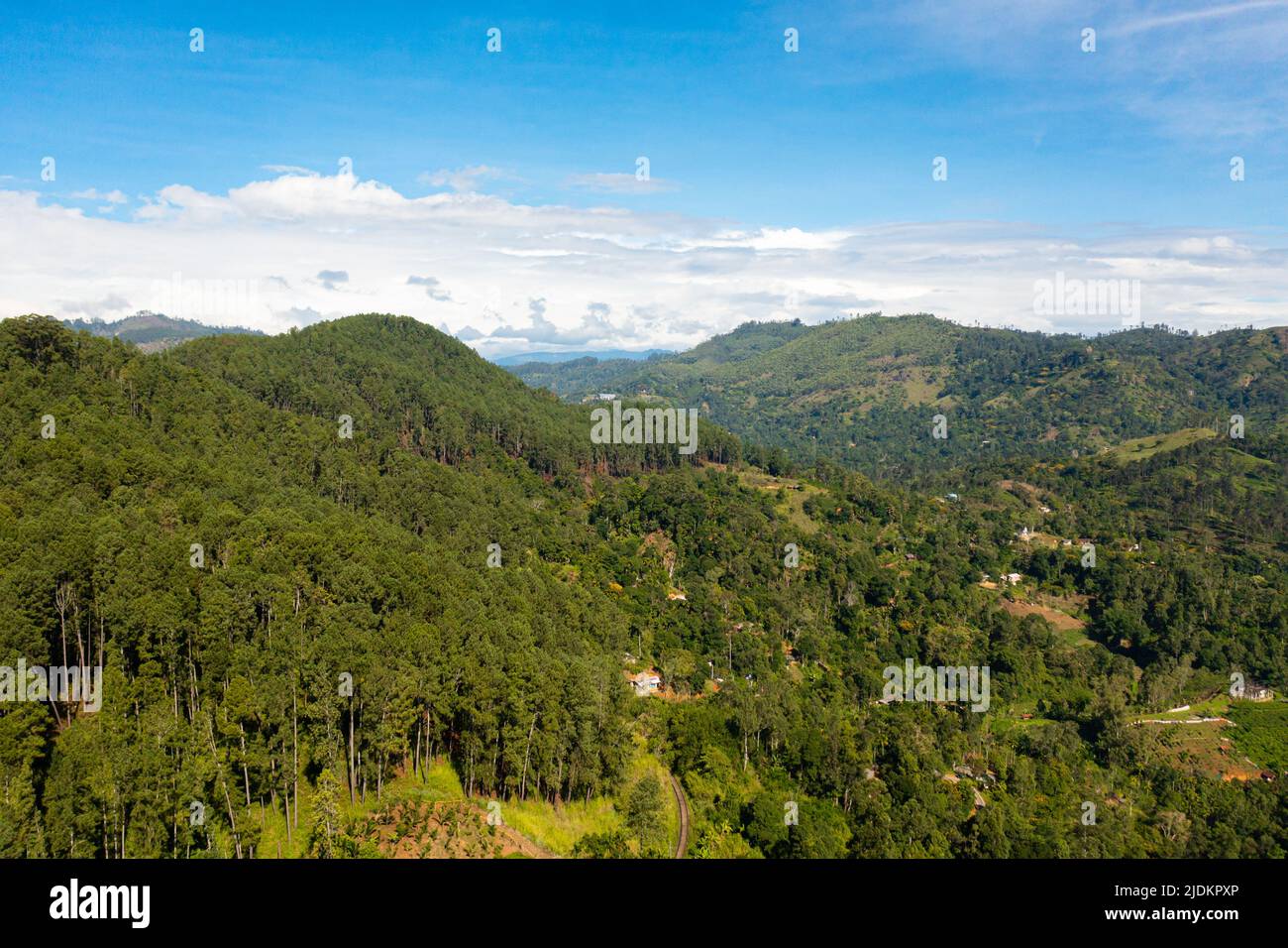 Drone aereo di terreni agricoli e di tè tra le colline in montagna. Ella, Sri Lanka. Foto Stock