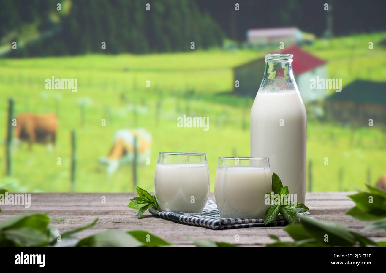 Immagine della fattoria sul tavolo con sfondo naturale del latte. Latte biologico di mucca. Mucche pascolo in prato e paesaggio di montagna fattoria. Foto Stock