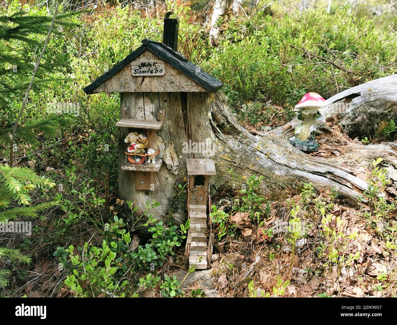 Plott cottage nella foresta Foto Stock
