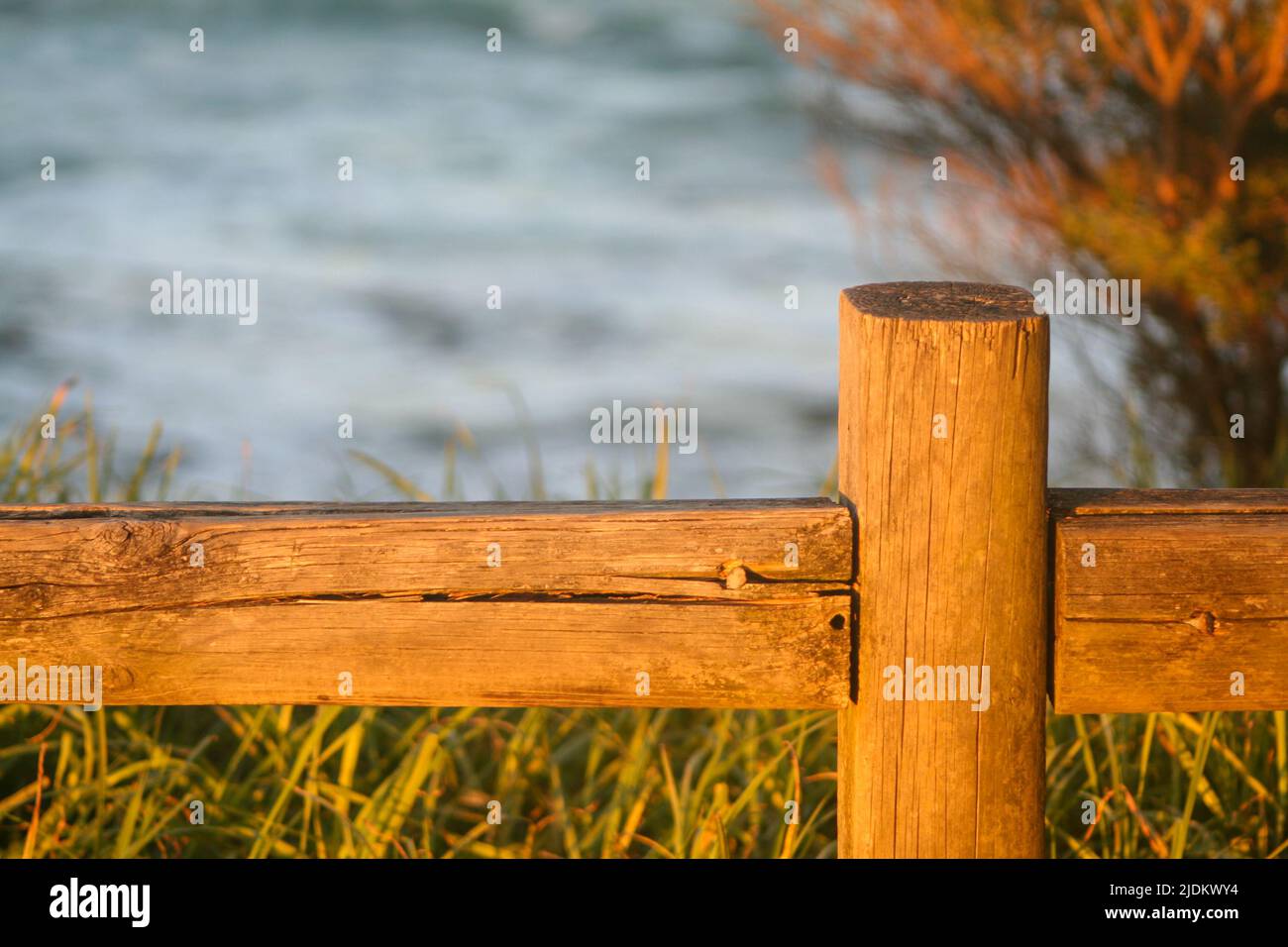 Recinzione in legno in luce dorata Foto Stock