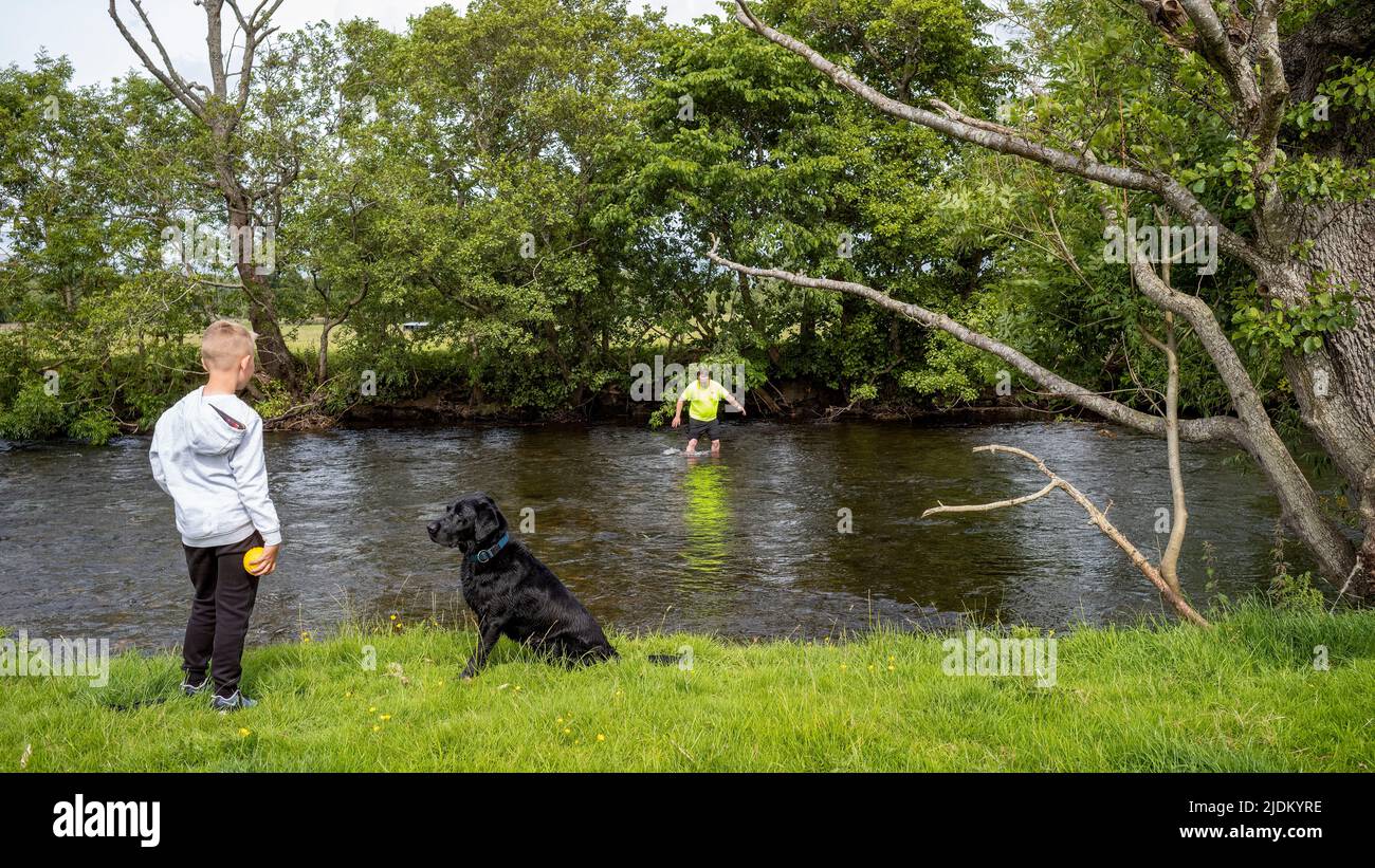 "Dopo aver aiutato una pecora sulla riva opposta”, River Eamont, Cumbria, Regno Unito Foto Stock