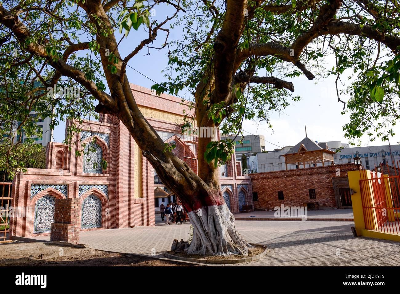 Un bell'albero all'ingresso principale del Burns Garden (Museo Nazionale del Pakistan) a Karachi. Foto Stock