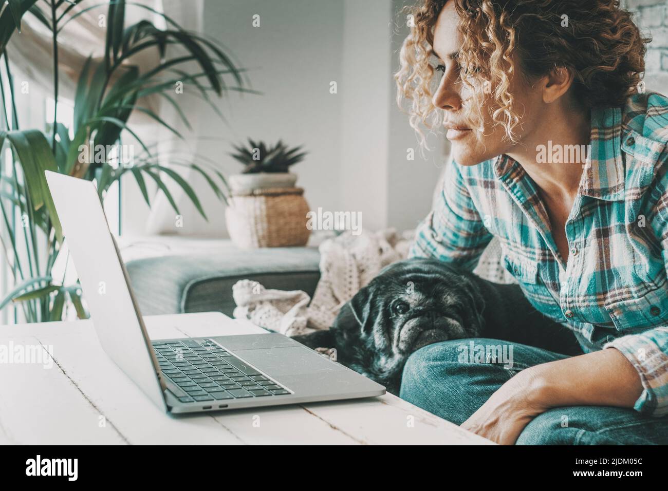 Donna che lavora su un notebook concentrato guardando lo schermo. Il cane è adorabile e rilassante. Concetto di gente moderna e animale migliore amico. Le donne godono online Foto Stock