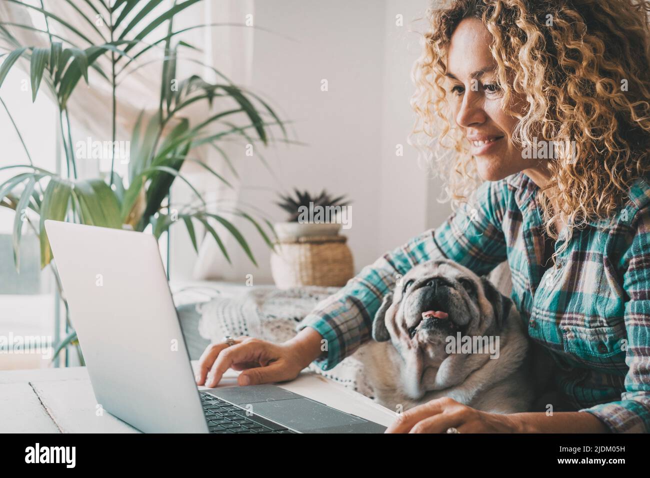 Persone che lavorano al computer con il cane sulle gambe. Felice donna animale proprietario utilizzando il laptop per il lavoro o navigare sul web. Adorabile pug cucciolo guardando il suo umano Foto Stock