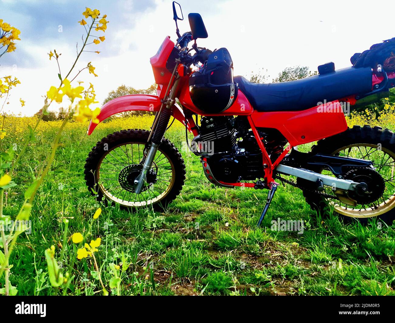 Red 1983 honda xl600r, moto, moto, trasporto su ruote 2. Veicolo, trasporto, rowsley Bank Lane, High leigh, knutsford, WA16 0qt , regno unito Foto Stock