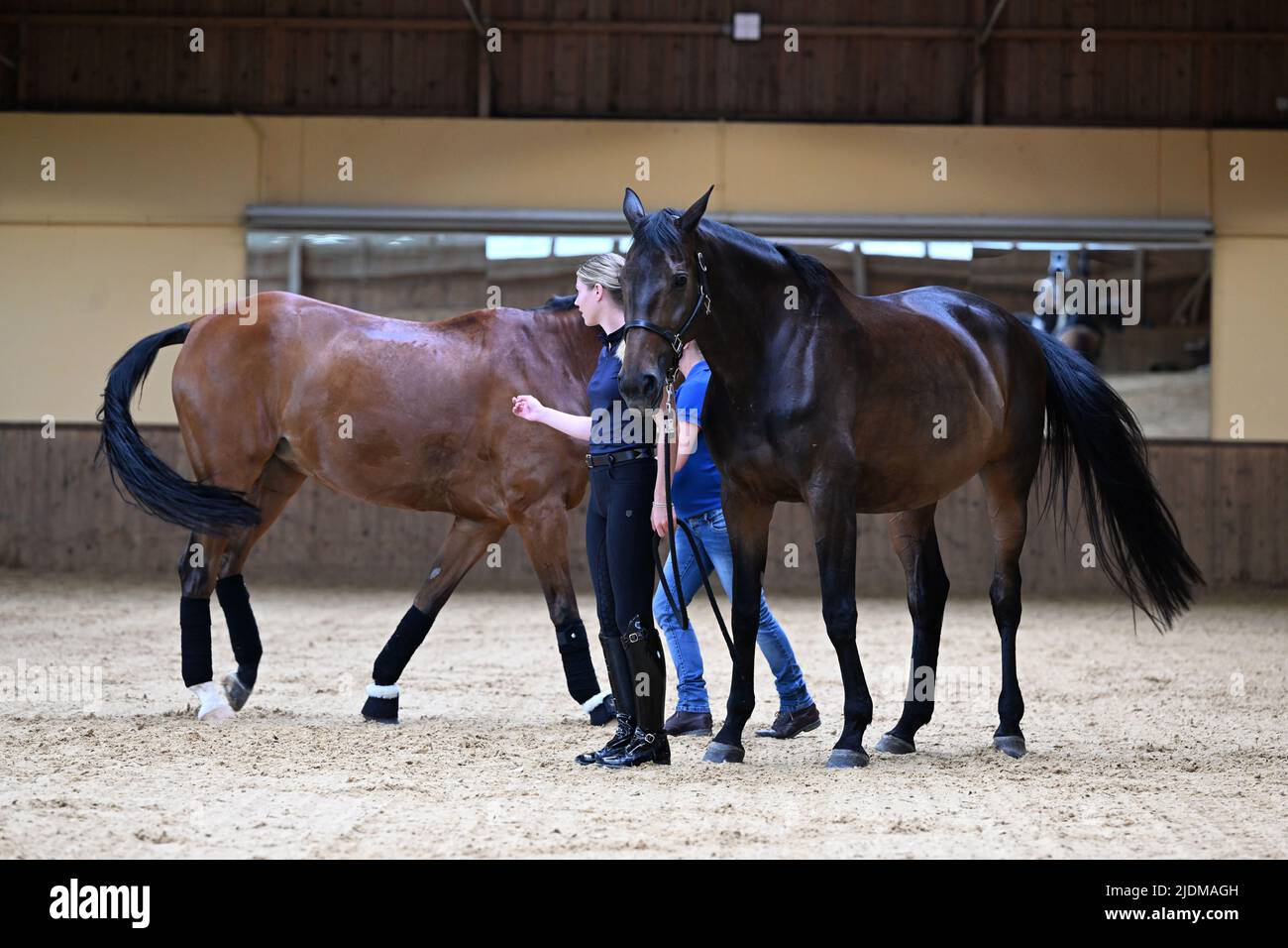 Tottenhausen, Germania. 22nd giugno 2022. Esclusiva dpa: Il dressage pilota e campione olimpico Jessica von Bredow-Werndl (in schiena con il cavallo TSF Dalera BB) e il dressage pilota e figlia del politico M. Söder, Selina Söder (in testa con il cavallo Zaire (r)) si esibiscono in una sessione fotografica a Gut Aubenhausen. Selina Söder sta imparando la filosofia olistica e a cavallo della fattoria di addestramento e attualmente sta cavalcando alcuni dei suoi cavalli ad Aubenhausen a causa della gravidanza di von Bredow-Werndl. Credit: Felix Hörhager/dpa/Alamy Live News Foto Stock