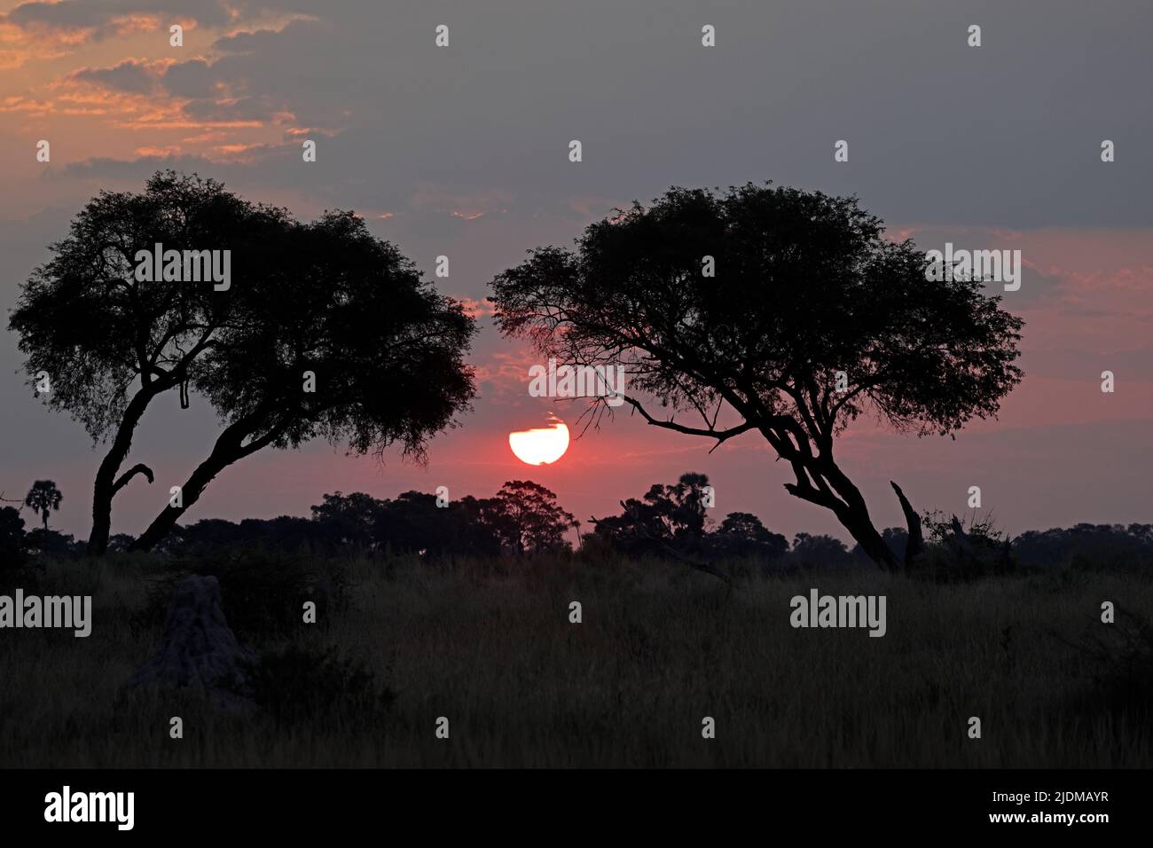 Tramonto a Moremi Botswana Foto Stock
