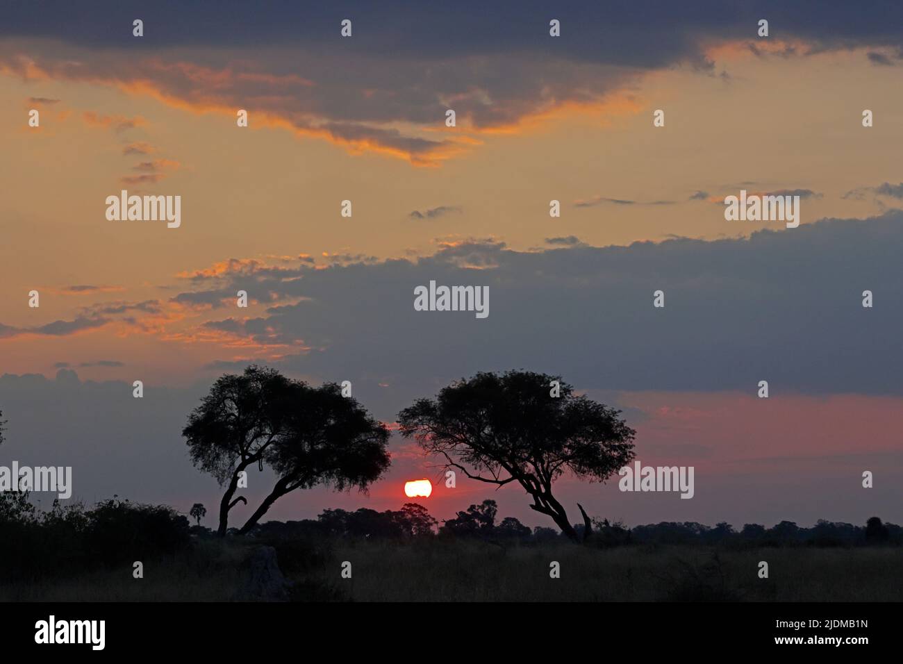 Tramonto a Moremi Botswana Foto Stock