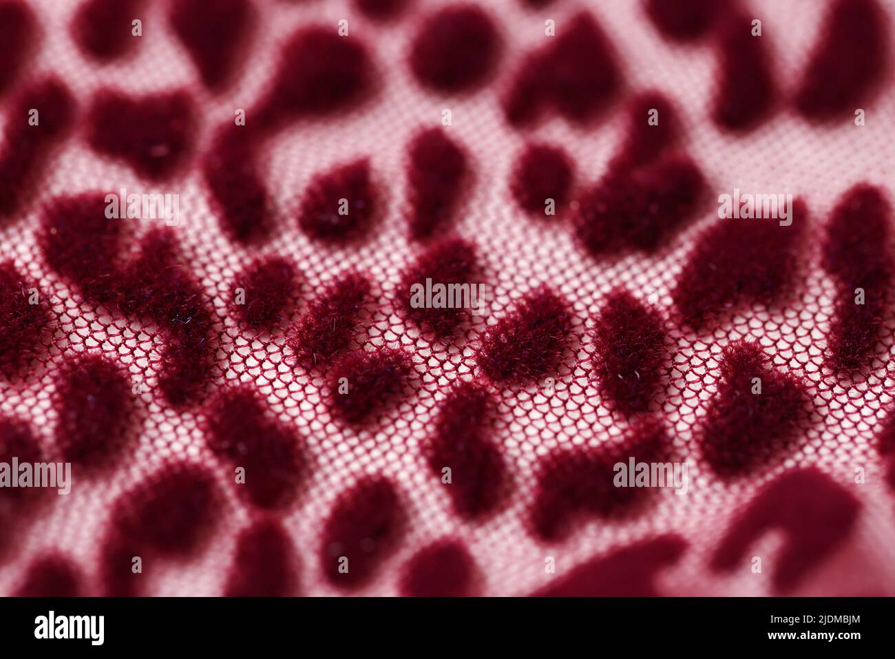 Mesh di tessuto trasparente rosso con sfondo stampa leopardo Foto Stock