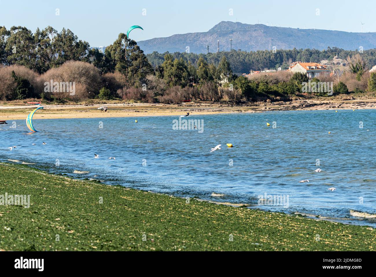 Illa de Arousa, Pontevedra, Spagna - 21 gennaio 2022: Gli specialisti del kitesurf si allenano con i loro aquiloni per i prossimi campionati. Foto Stock