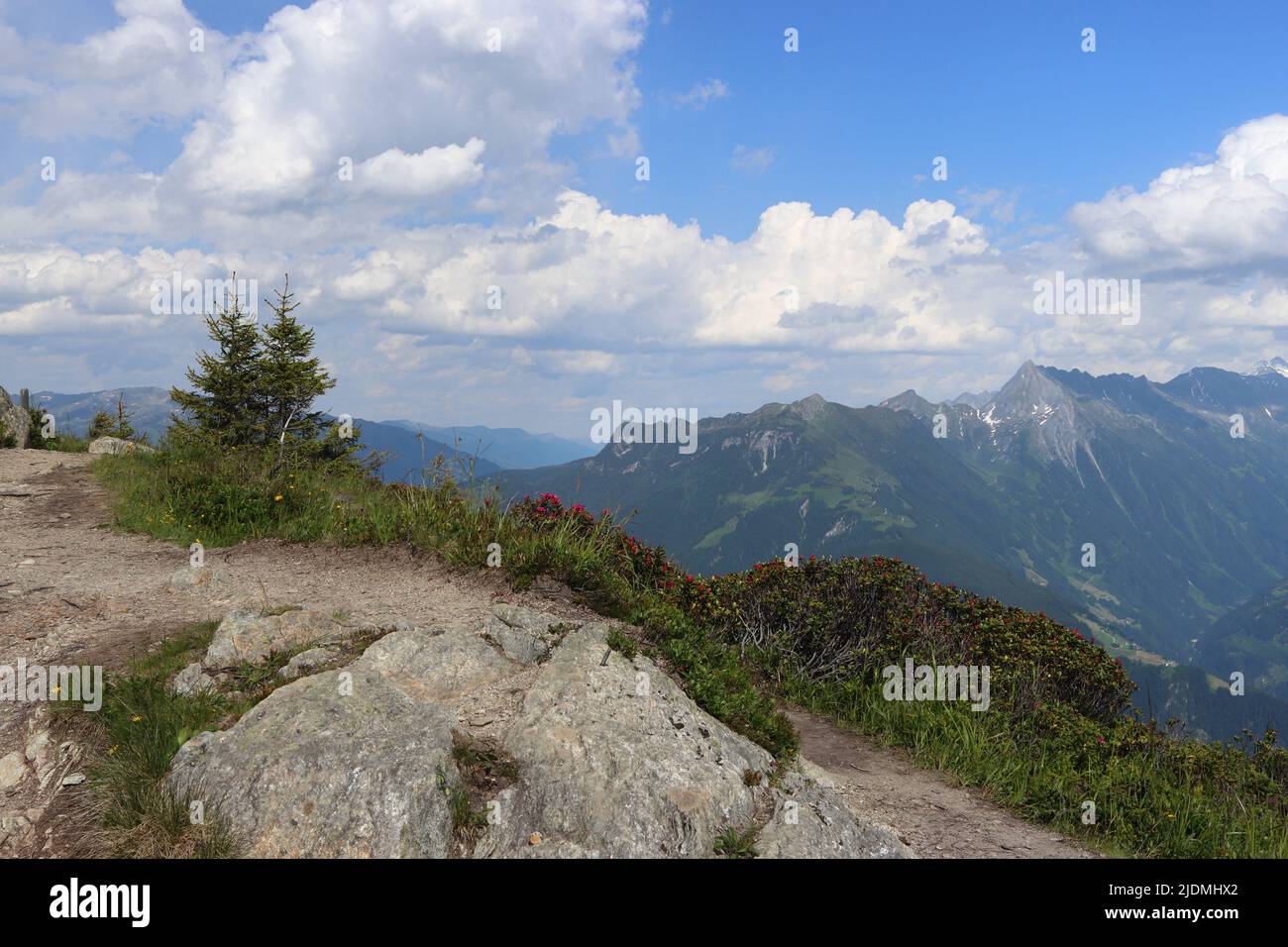 Vista sulle Alpi Zillertal vicino a finkenberg in Austria, fuoco selettivo Foto Stock