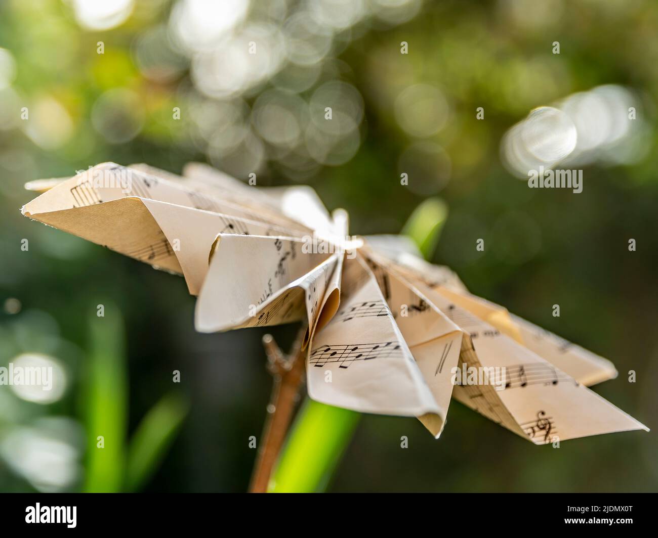 Un foglio di carta con una partitura musicale è stato sapientemente modellato per sembrare un fiore da una pianta da giardino Foto Stock