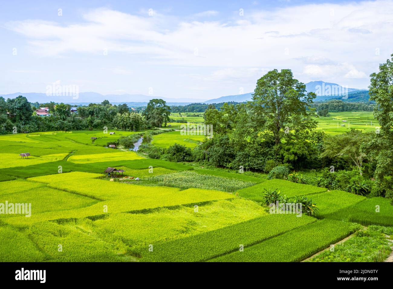 Bella panoramica di campo di riso con casa locale e il monte Doi Phuka sullo sfondo da località a Pua, Nan, Thailandia Foto Stock