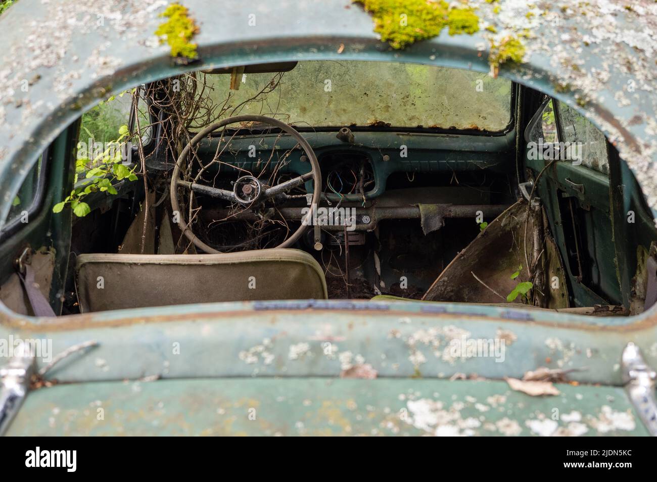 Relitti auto, auto antiche nel cimitero di Ivan a Båstnäs, Svezia meridionale. Le auto sono per la maggior parte degli anni Cinquanta, Sessanta e Settanta. Foto Stock