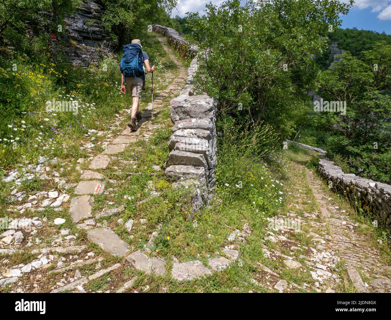 Un camminatore che sale sul ripido Vitsai Skala o una scalinata fuori dalla gola di Vikos nella regione Epirus della Grecia Foto Stock